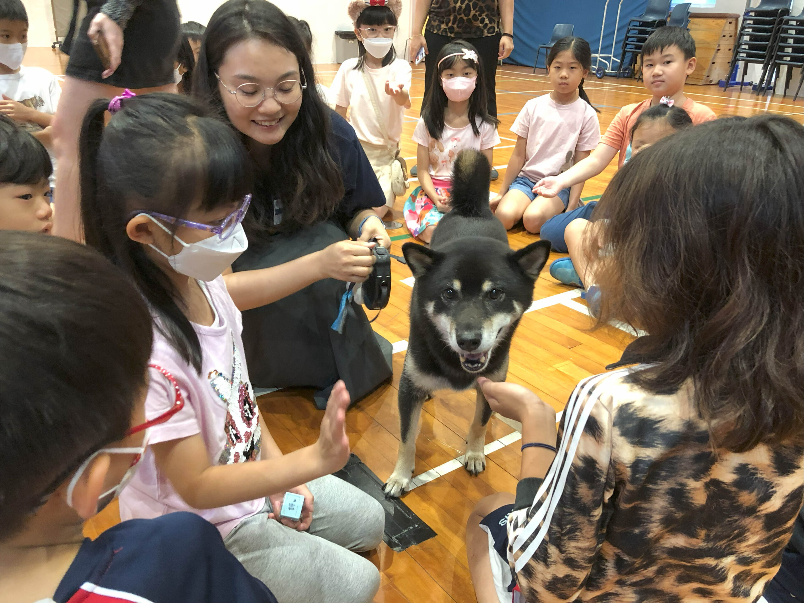 Animal Welfare Week (AWW) – Korean International School